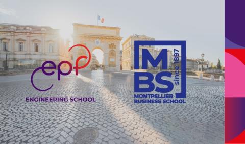 Visuel article Montpellier Business School